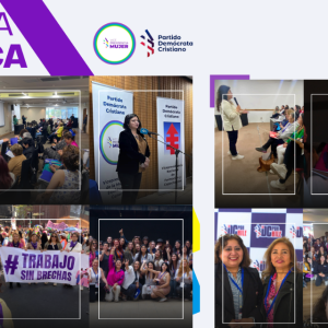 CUENTA PÚBLICA VICEPRESIDENCIA DE LA MUJER Y EQUIDAD DE GÉNERO DC 2024-2025